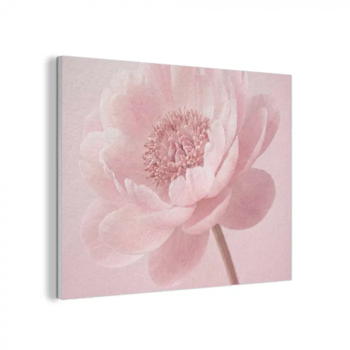 Bloem - Pioenroos - Roze PET vilt klein -3d
