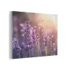Lavendelbloemen - Paars - Zonlicht PET vilt klein -3d