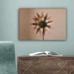 Droogbloem - Protea - Vintage - Beige - Rustiek canvas 2cm klein -sfeer4