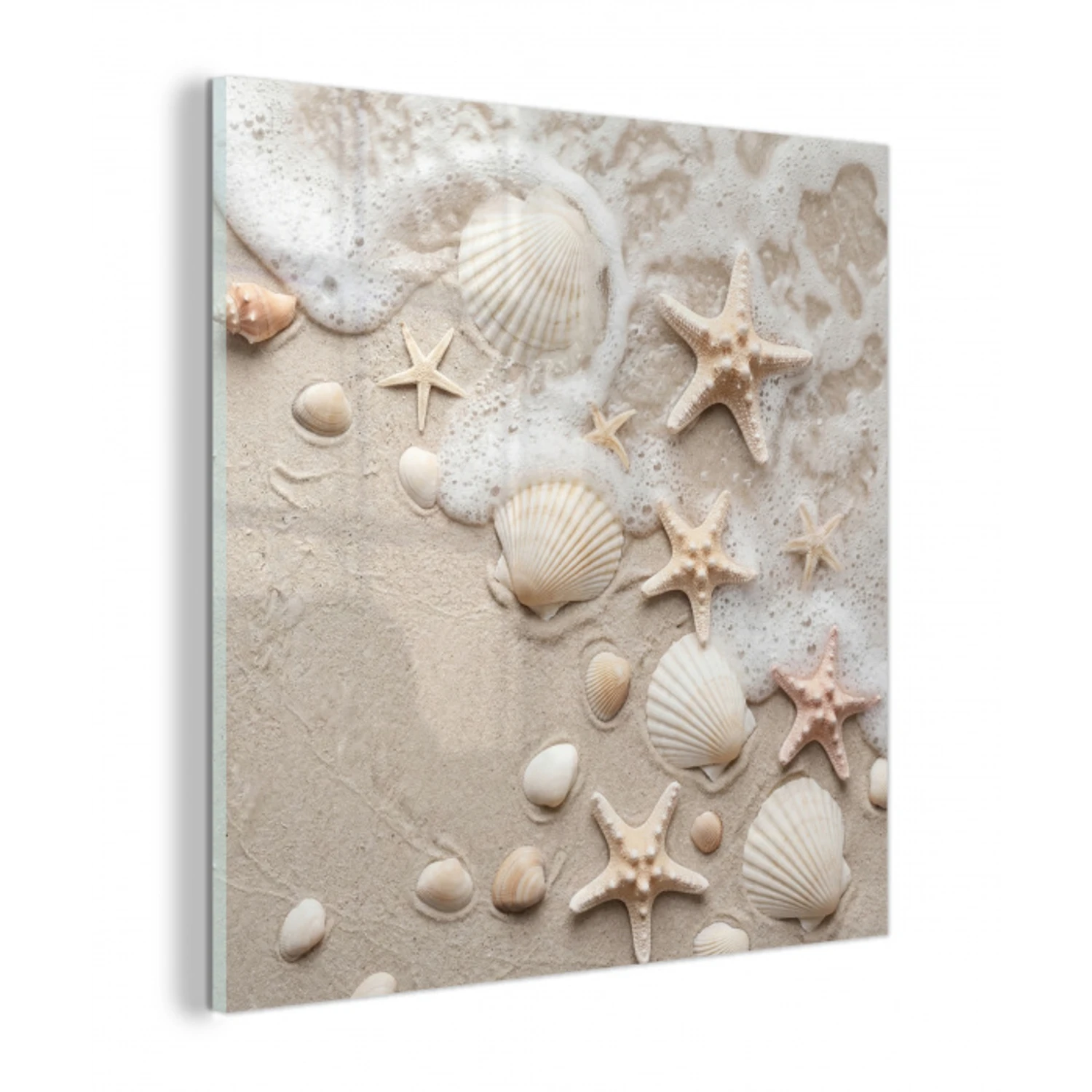 Schelpen - Zeesterren - Strand plexiglas 5mm klein -z3d