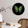 Vlinder - Groen - Diepte Wandcirkel kunststof plaat 5mm dik klein -sfeer4