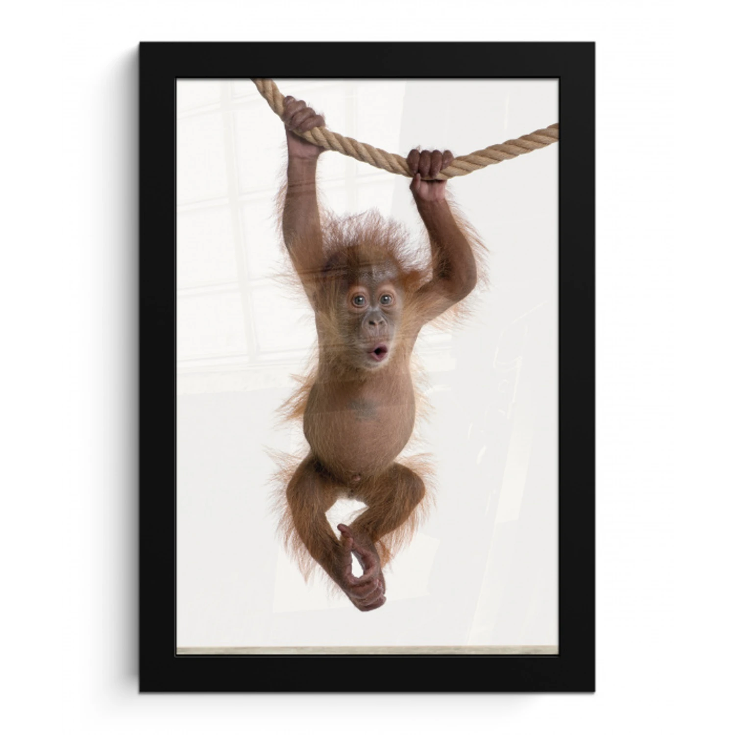 Aap - Dieren - Kinderen - Orang Oetan - Jongetjes - Meisjes fotolijst zwart zonder passe partout klein -3d