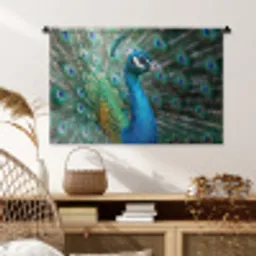 Pauw - Veren - Blauw Wandkleed katoen middel -sfeer5