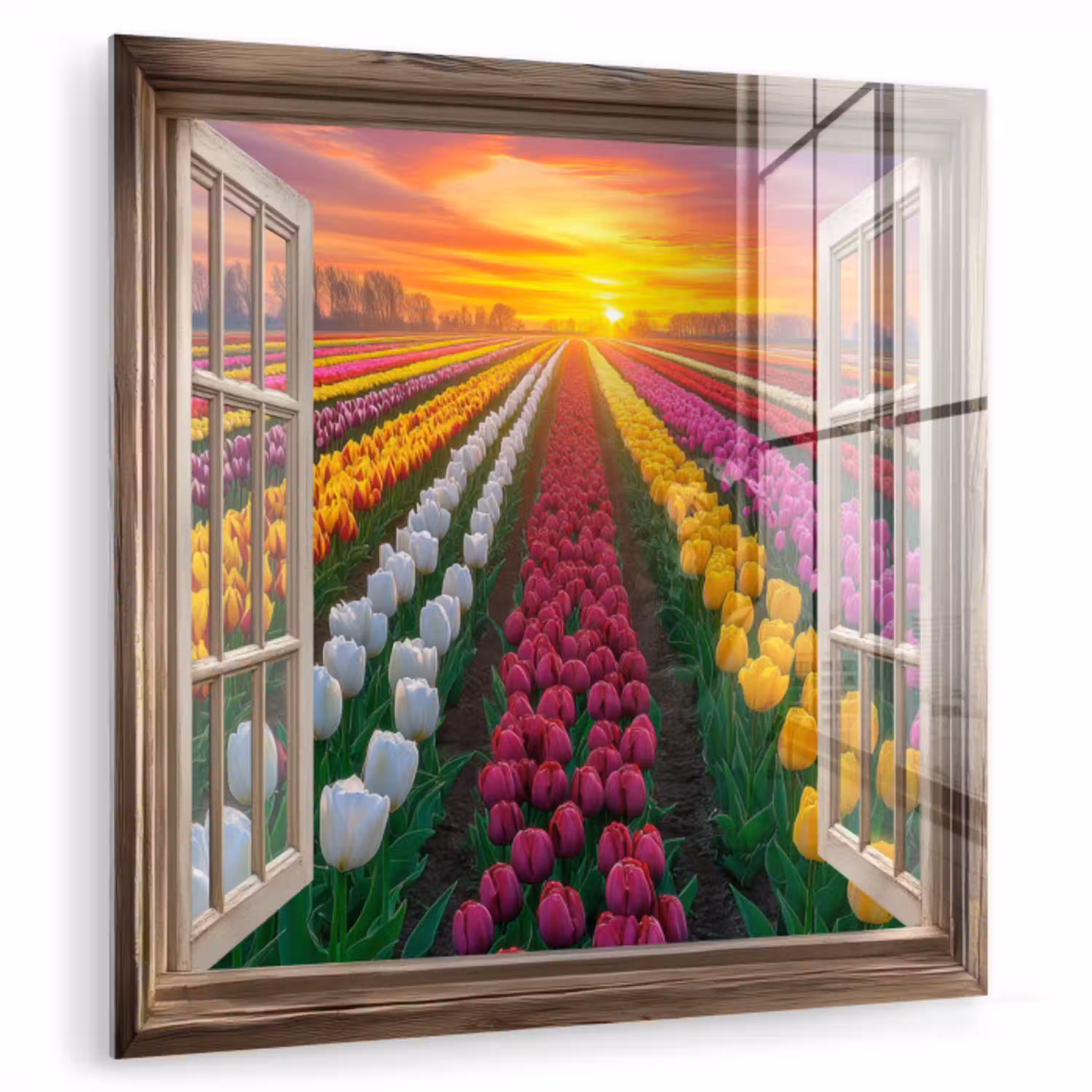 Doorkijk - Bloemen - Tulpen - Kleurrijk - Zonsondergang plexiglas 5mm klein -zzzproduct_nieuw