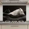 Paarden - Zwart - Wit - Kudde keuken achterwand spatscherm klein -3d_website