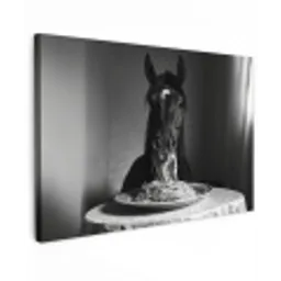 Paard - Bord - Pasta - Tafelkleed - Zwart Wit - Dieren Tuinposter op houten frame 2 cm dik klein -3d