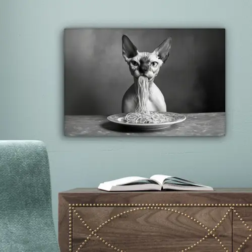 Sphynx - Kat - Dieren - Humor - Spaghetti - Zwart Wit canvas 2cm klein -sfeer4