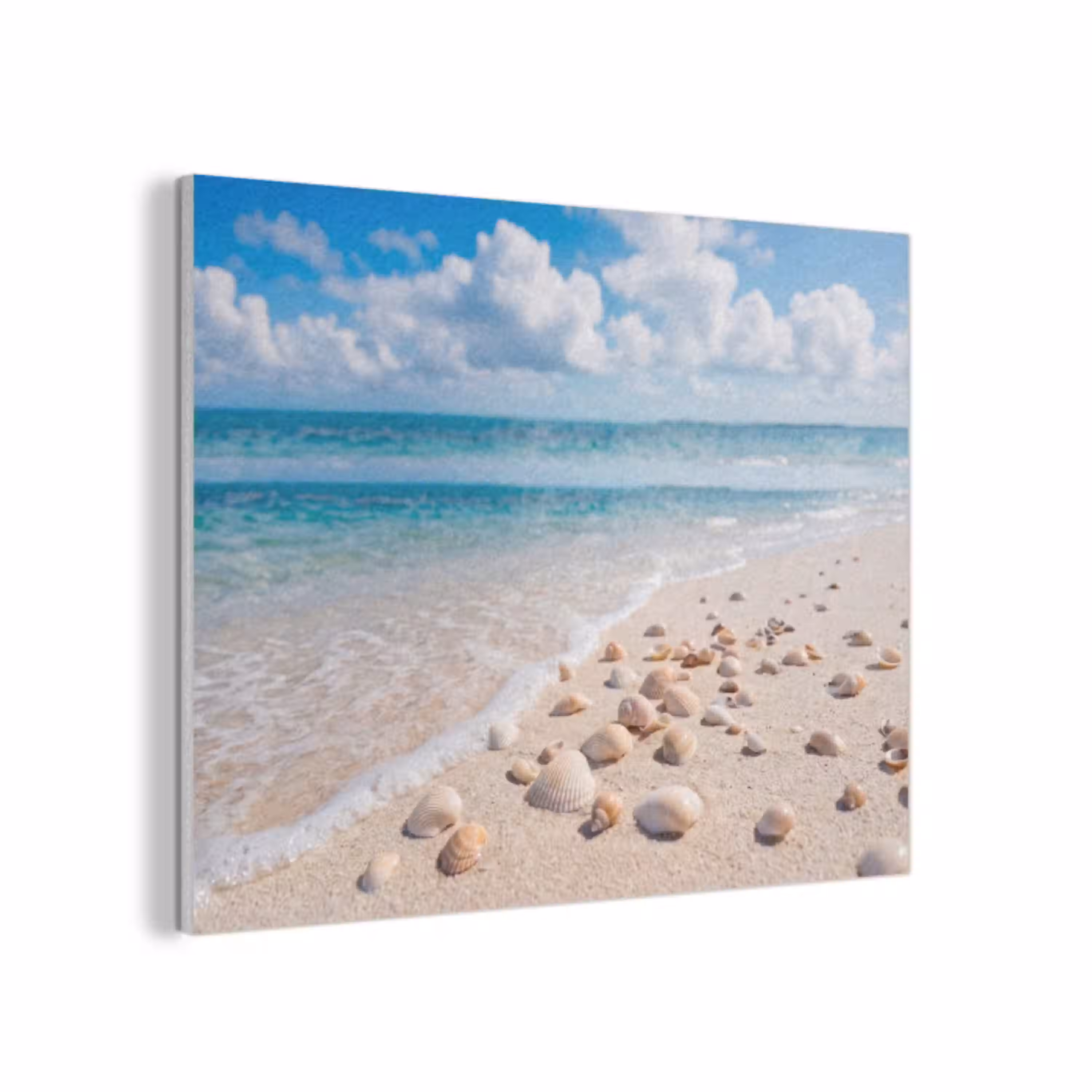 Schelpen - Strand - Natuur - Beige PET vilt klein -3d