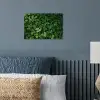Groen - Bladeren - Kartel - Zonlicht poster papier klein -sfeer2