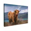 Schotse Hooglander - Berg - Water - Natuur - Koe canvas 2cm klein -z3d