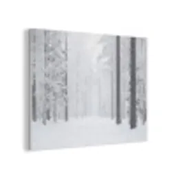 Bos - Sneeuw - Pad - Winter - Stilte PET vilt klein -3d