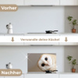 Uil - Bruin - Wit keuken achterwand spatscherm klein -voor_na_DE