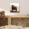 Schotse hooglander - Dieren - Landelijk - Landschap - Koe - Natuur aluminium wit klein -sfeer3