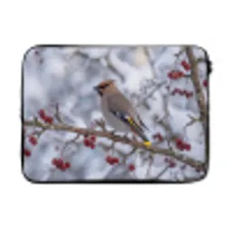 Pestvogel - Bessen - Winter - Natuur laptophoes neopreen klein -3d
