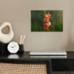 Bloem - Gladiolen - Zalmroze poster papier klein -sfeer1
