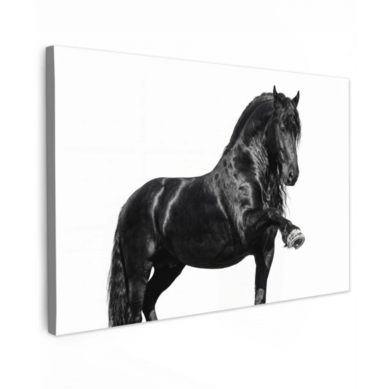 Fries - Hengst - Modern Tuinposter op houten frame 2 cm dik klein -3d