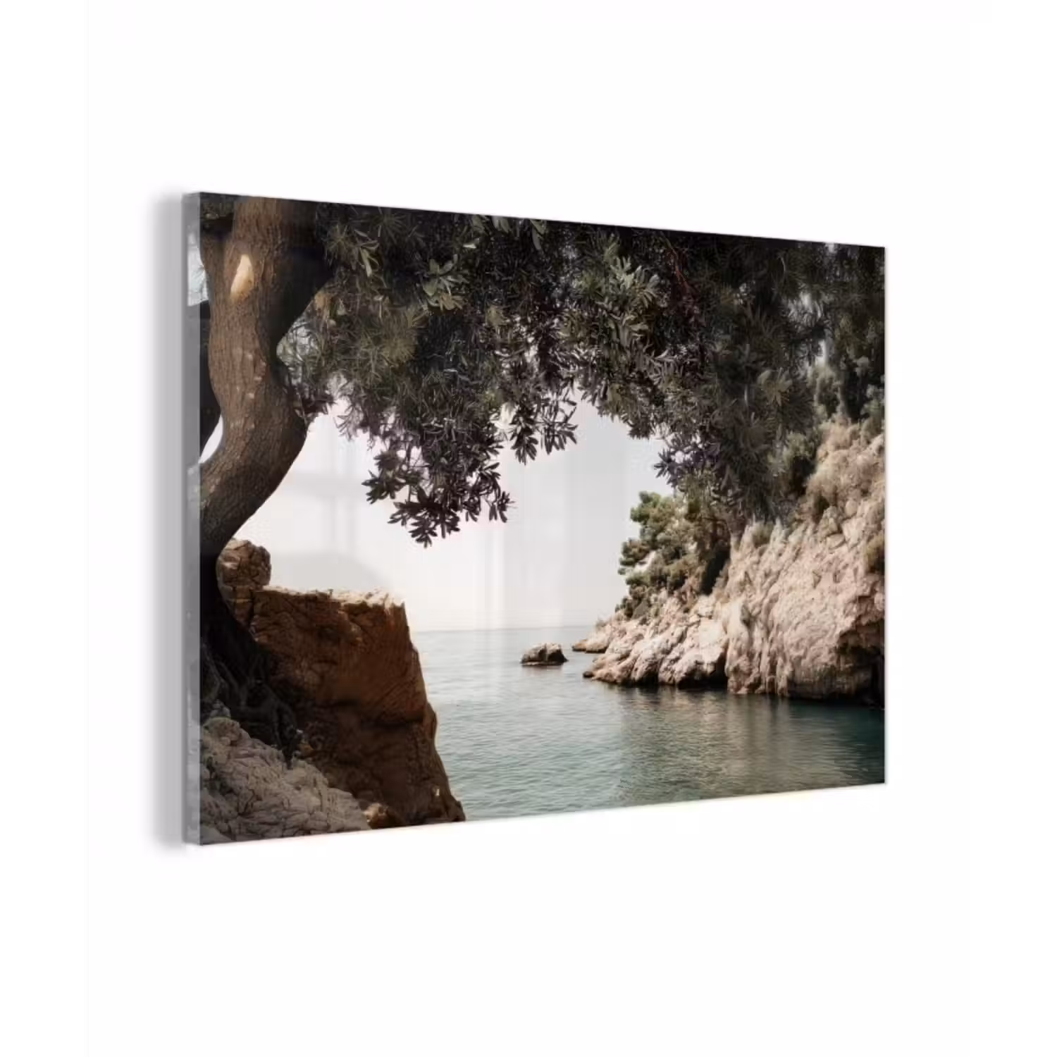 Glasbild - Felsen - Meer - Baum - Grün