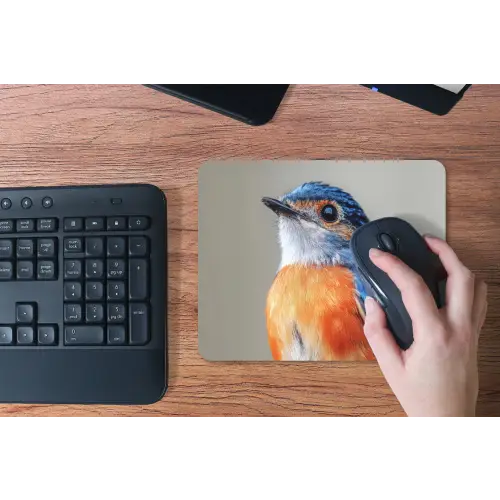 Kleurrijk - Vogeltje - Veren - Blauw muismat rubber klein -toetsenbord