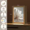 Bloem - Wit - Neutraal Light Box met kabel (Tafellamp) klein -USP_NL