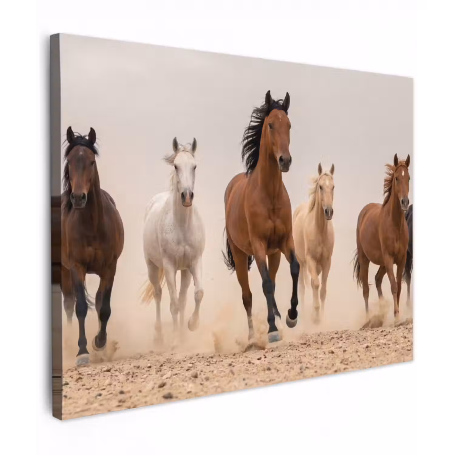 Leinwandbild - Pferdeherde - Staubwolke - Braun - Schwarz
