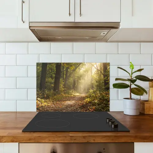 Zonlicht - Bospad - Bomen keuken achterwand spatscherm klein -sfeer2