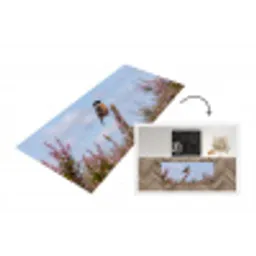 Roodborsttapuit - Heide - Paars - Natuur - Sfeervol Keukenloper - keukenmat middel -3d