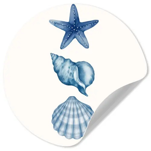 Zeester - Schelpen - Blauw Wandcirkel behangsticker klein -3d