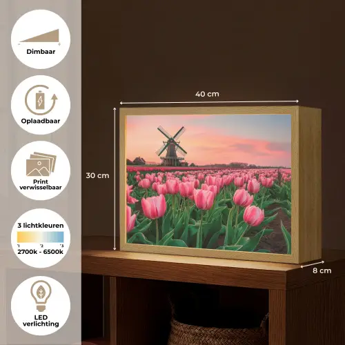Tulpen - Molen - Nederland Light Box met batterij (Wandlamp) middel -USP_websiteoverzichtNL