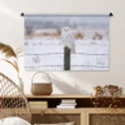 Sneeuwuil - Hek - Sneeuw - Wit Wandkleed katoen middel -sfeer5