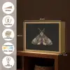 Mot - Bladachtig - Grijs Light Box met batterij (Wandlamp) middel -USP_websiteoverzichtNL