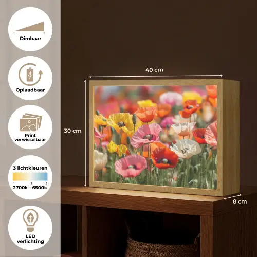 Bloemenveld - Klaprozen - Kleurrijk Light Box met batterij (Wandlamp) middel -USP_websiteoverzichtNL