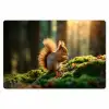 Eekhoorn - Nootje - Gras Placemat vinyl groot -zzsfeer1_Kitchenyeah-website