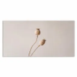 Papaverbollen - Droogbloemen - Minimalistisch - Beige - Rustig Muismat XXL klein -3d_leeg