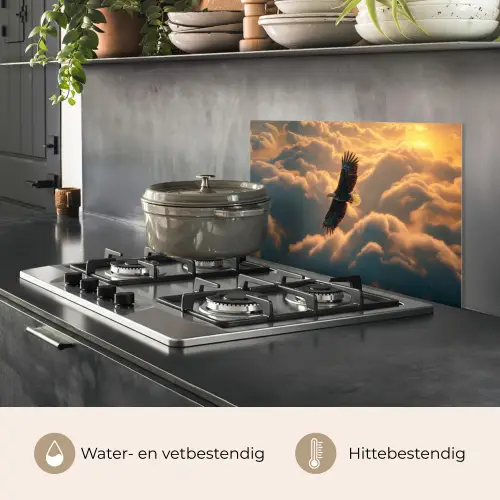 Adelaar - Wolken - Zon keuken achterwand spatscherm klein -usp_NL