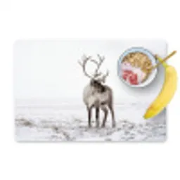 Rendier - Gewei - Sneeuw - Winter Placemat vinyl groot -zzzproduct_Kitchenyeah-website