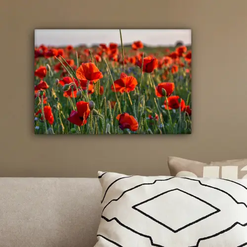 Bloemen - Klaprozen - Natuur - Rood canvas 2cm klein -sfeer3