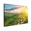 Wilde bloemen in de ochtendzon Tuinposter op houten frame 2 cm dik klein -3d