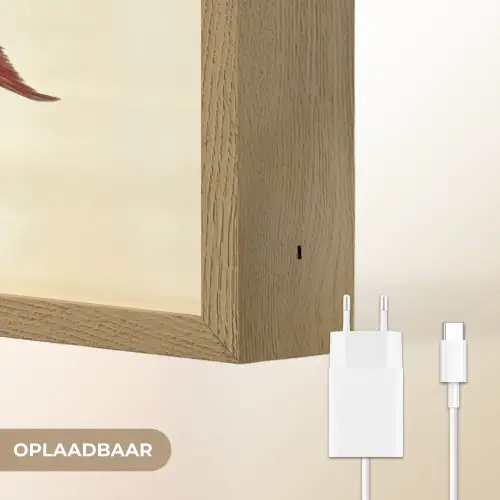 Gestreept - Donkerblauw - Rugvin - Vis Light Box met batterij (Wandlamp) middel -USP_websiteoplaadbaarNL