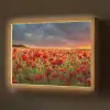 Zonsondergang - Klaprozen - Rood - Bloemen - Veld - Natuur Light Box met batterij (Wandlamp) middel -z3d_website