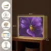 Paars - Viool - Diepte Light Box met batterij (Wandlamp) middel -USP_websiteoverzichtNL