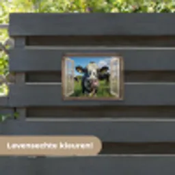 Doorkijk - Koe - Weiland - Dieren - Natuur tuinposter los doek klein -sfeer3