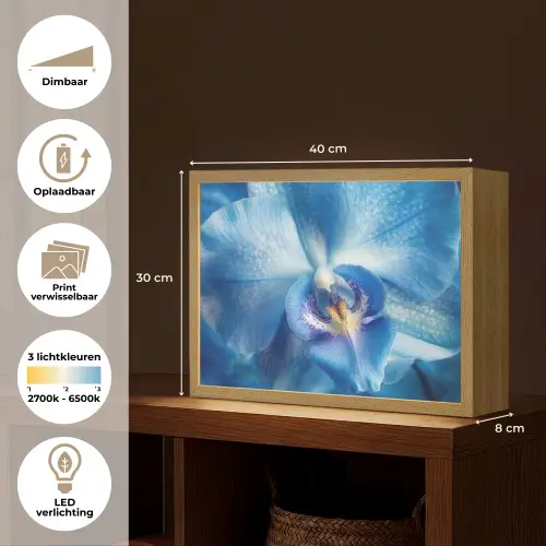 Blauw - Orchidee - Elegeant Light Box met batterij (Wandlamp) middel -USP_websiteoverzichtNL