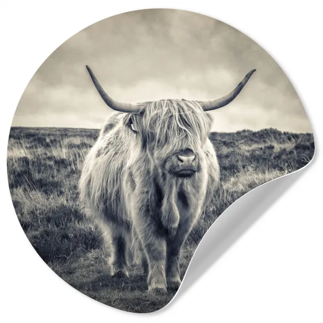 Schotse hooglander - Dieren - Wolken - Koe - Natuur Wandcirkel behangsticker klein -3d