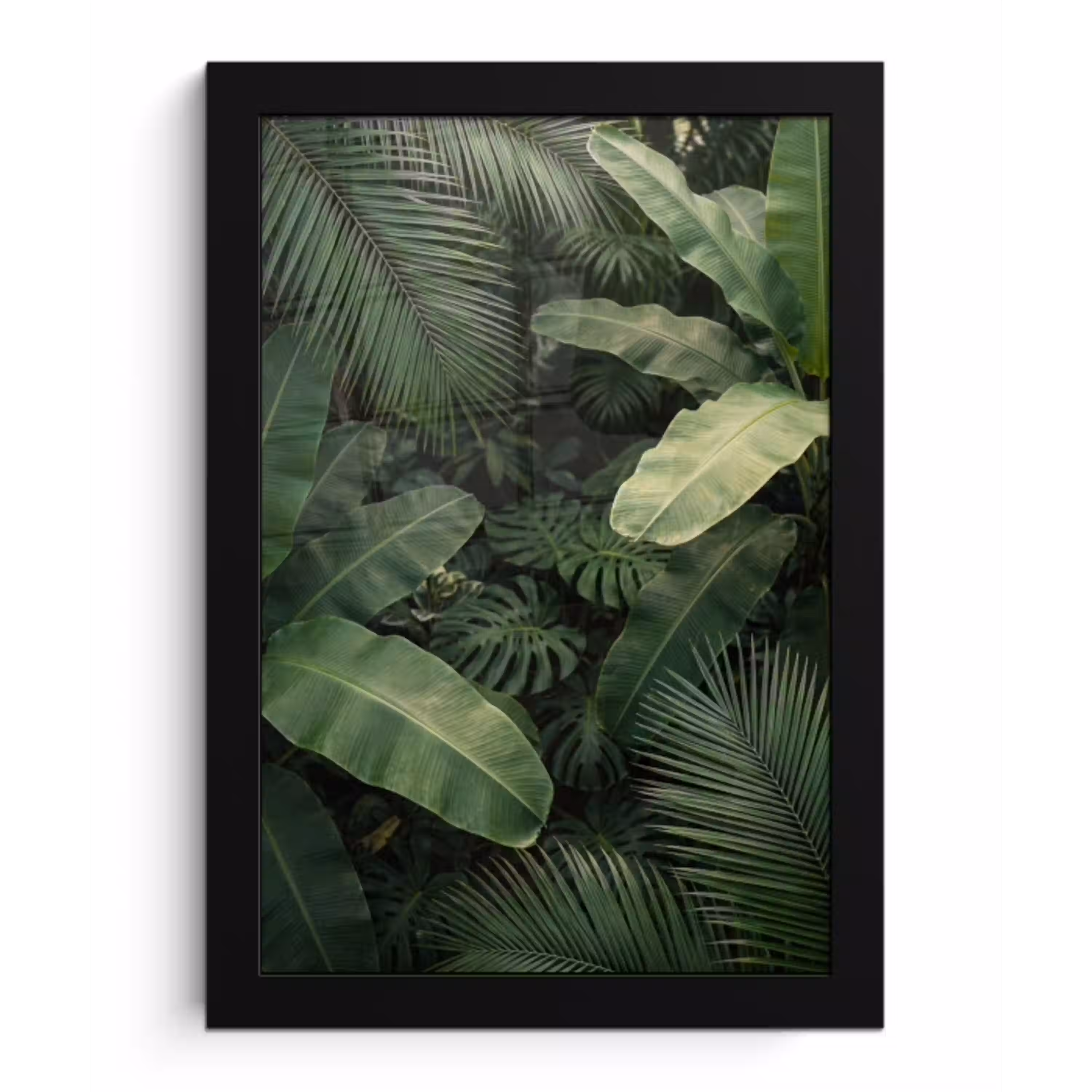 Bladeren - Groen - Tropisch - Natuur fotolijst zwart zonder passe partout klein -3d