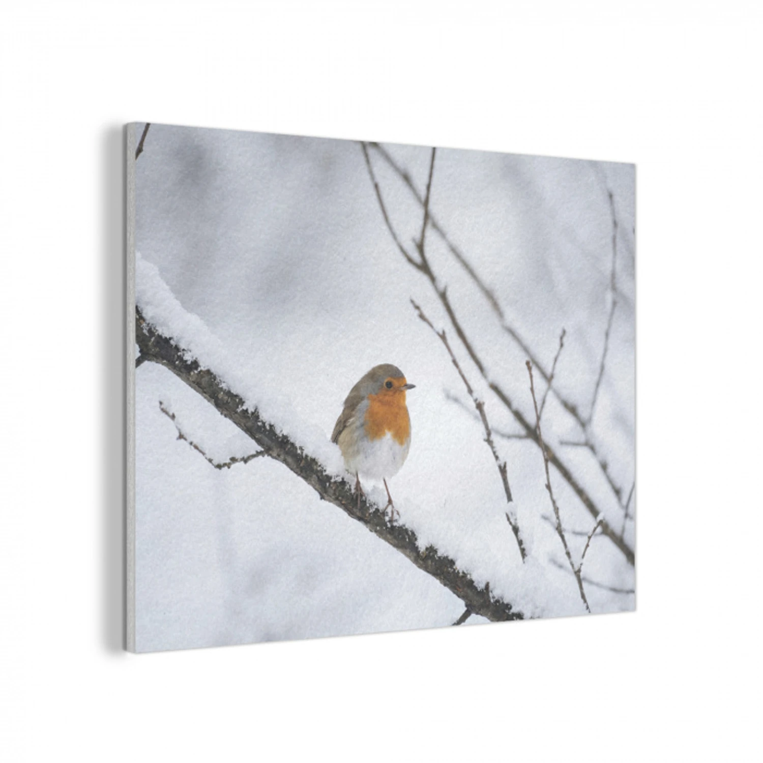 Roodborstje - Tak - Sneeuw - Winter - Levendig PET vilt klein -3d