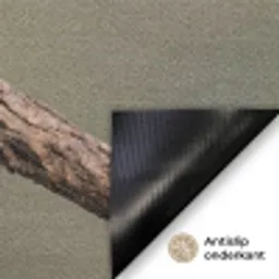 Papagaai - Tak - Natuur - Kleurrijk Deurmat klein -antislip_NL
