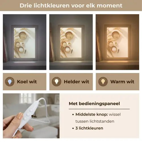 Granen - Hout - Kom - Beige Light Box met kabel (Tafellamp) klein -USP_lichtkleurNL