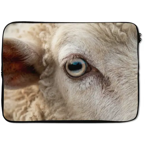 Schaap - Oog - Wit laptophoes neopreen klein -zkaufland3dotto