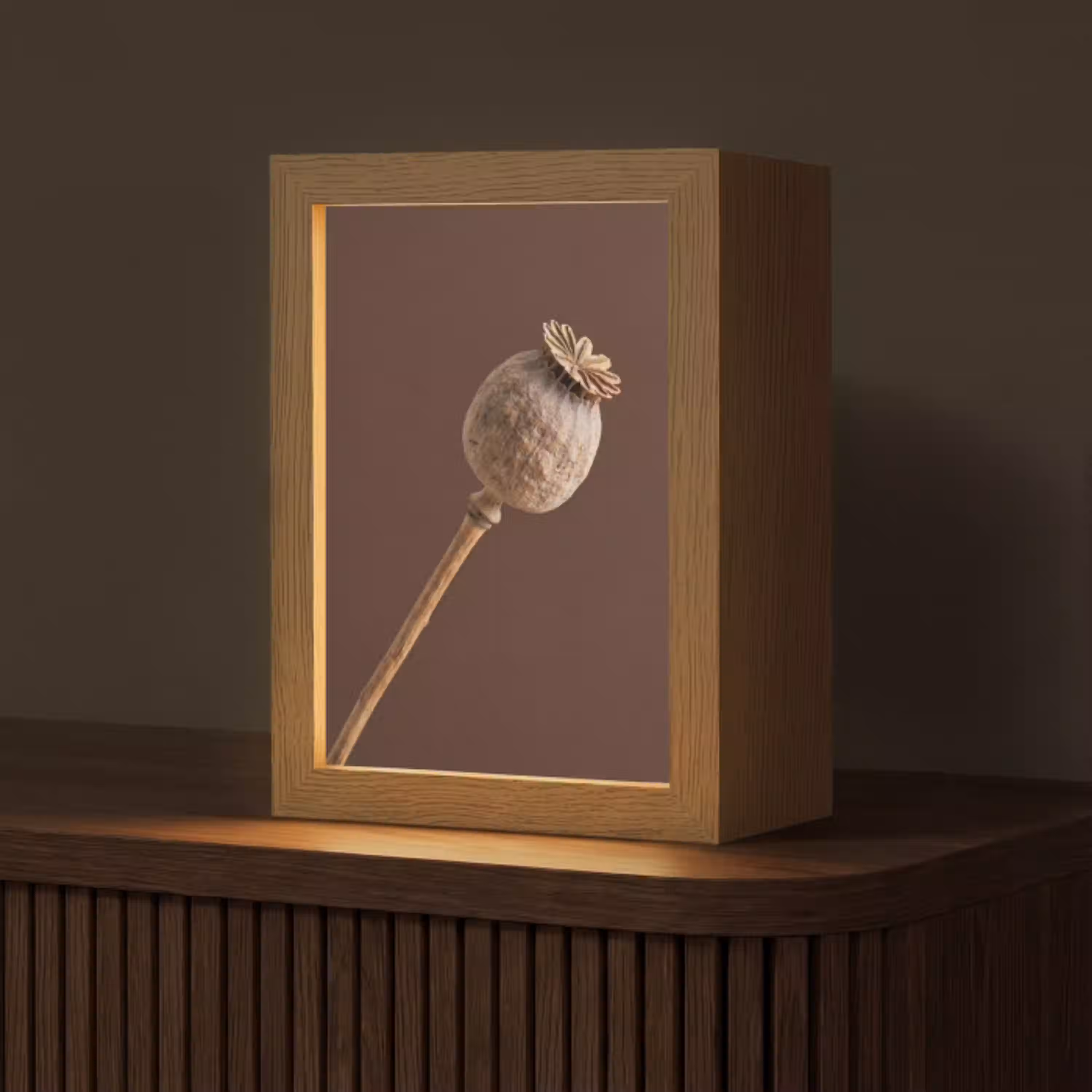 Papaverbol - Droogbloem - Bruin - Minimalistisch Light Box met kabel (Tafellamp) klein -z3d_website