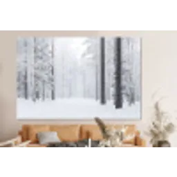 Bos - Sneeuw - Pad - Winter - Stilte forex 5mm xxl -bovenbank